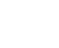 IVI Romania I Tabere Educationale