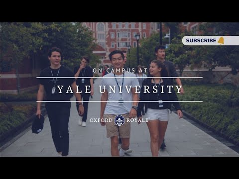 Tabara drept 16-18 ani, Yale University, SUA - IVI Romania 16