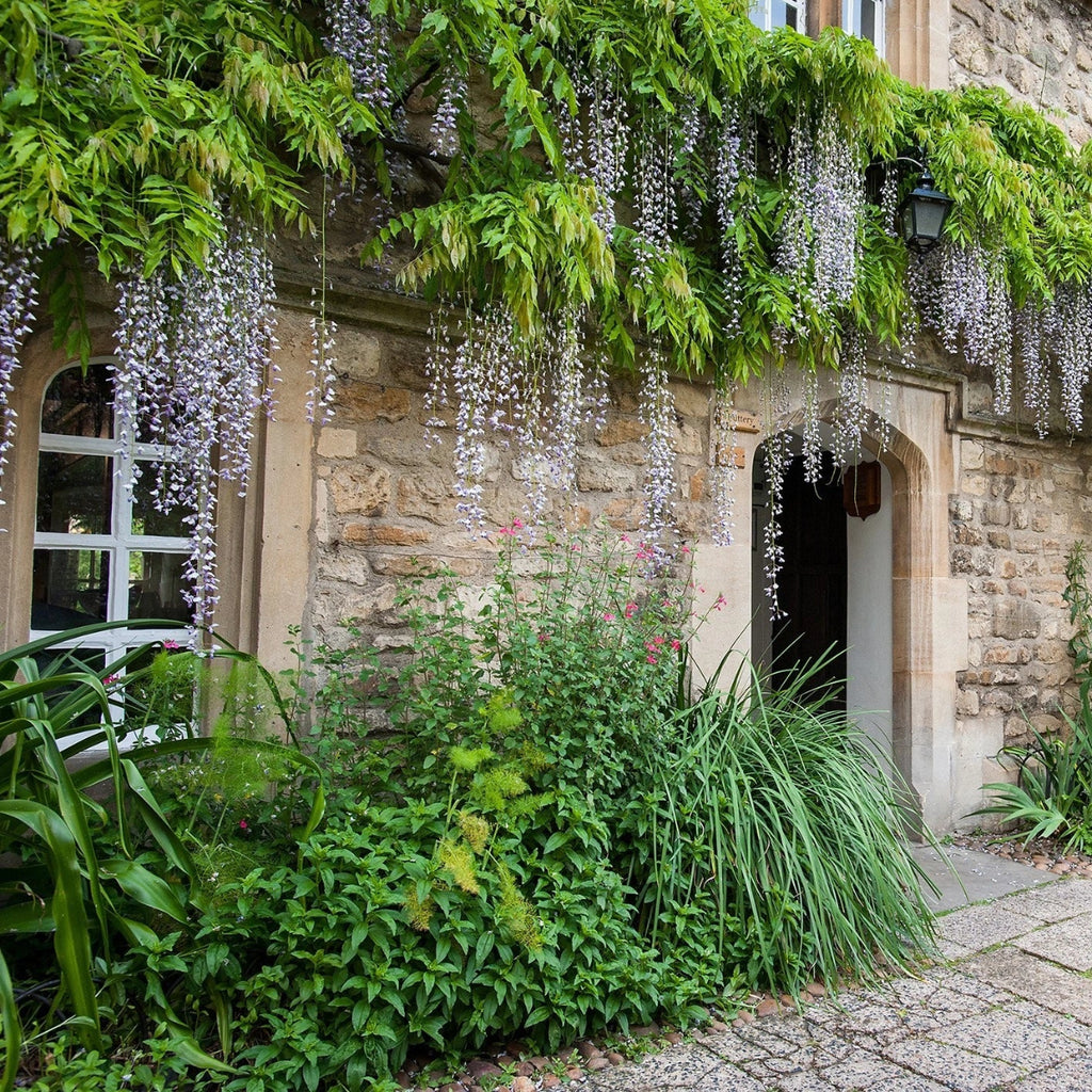 Tabara Arhitectura 13 - 18 ani, Oxford, IVI Education | Tabere Educationale