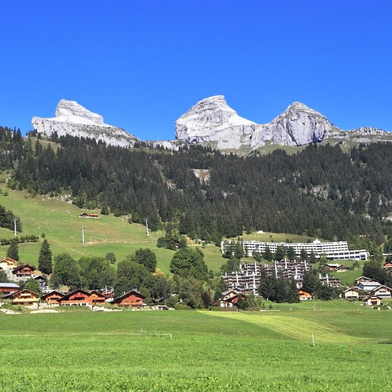 Tabara engleza 10-17 ani, Leysin, Elvetia, IVI Romania 1