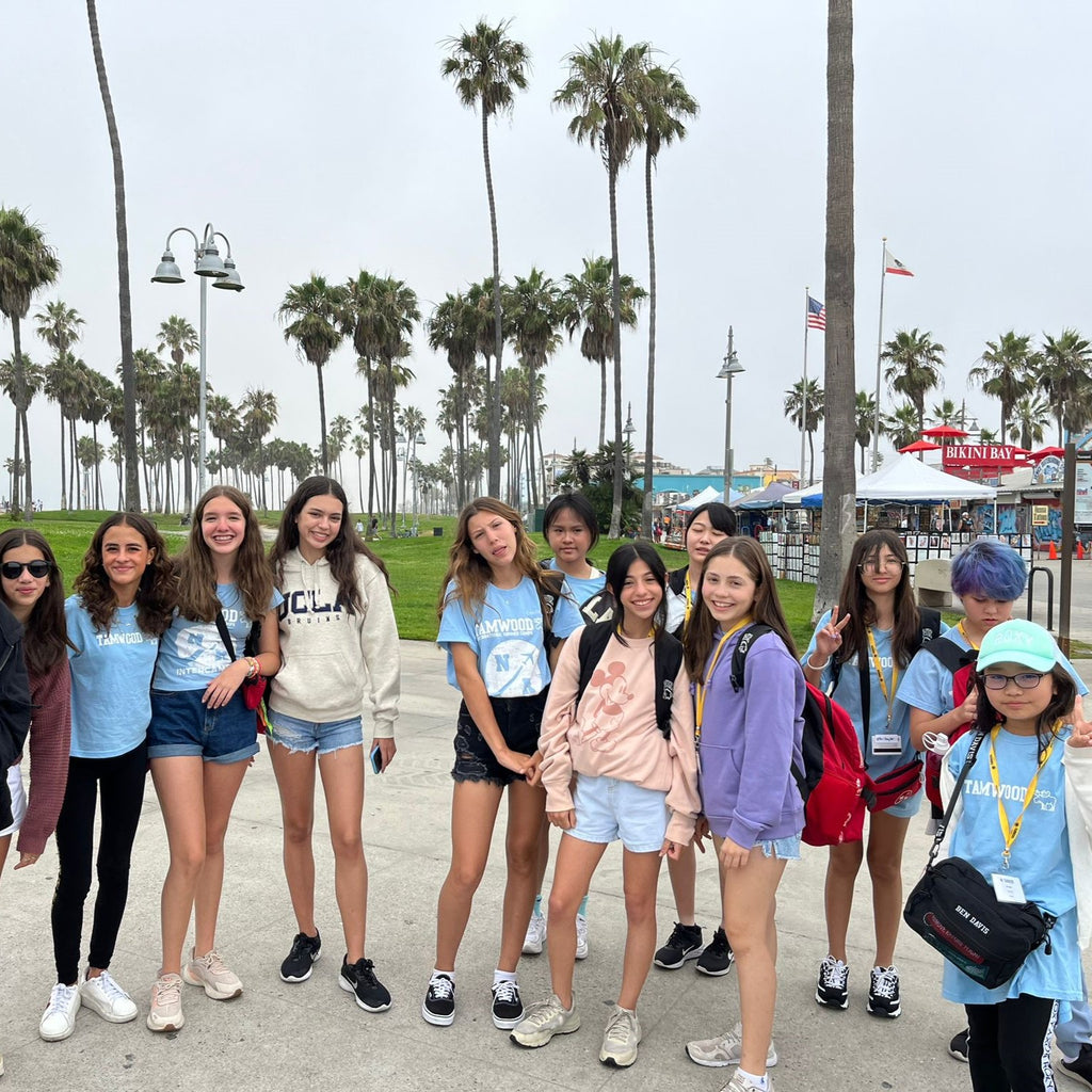 Tabara engleza si activitati elevi 11-14 ani la Los Angeles, USA - IVI Romania 4