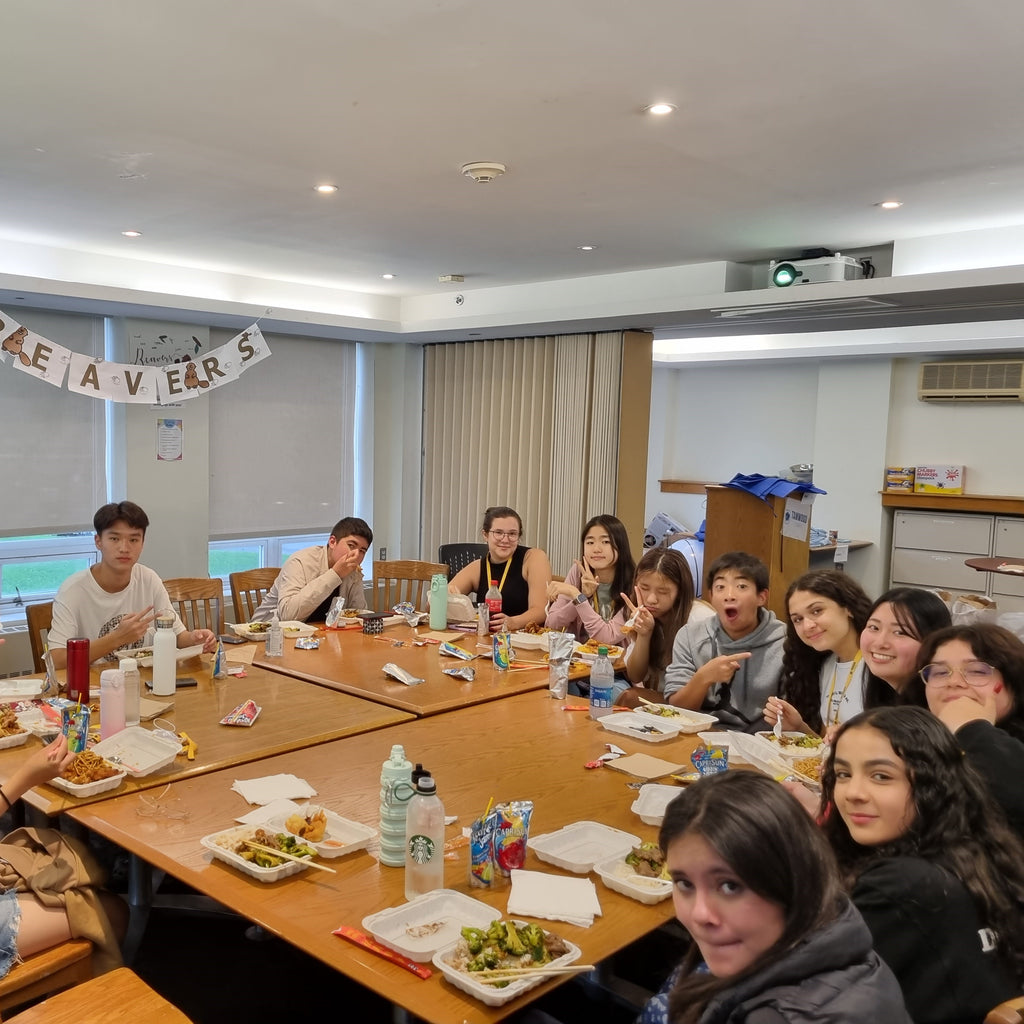Tabara engleza elevi 15-17 ani la New York, SUA - IVI Romania 16