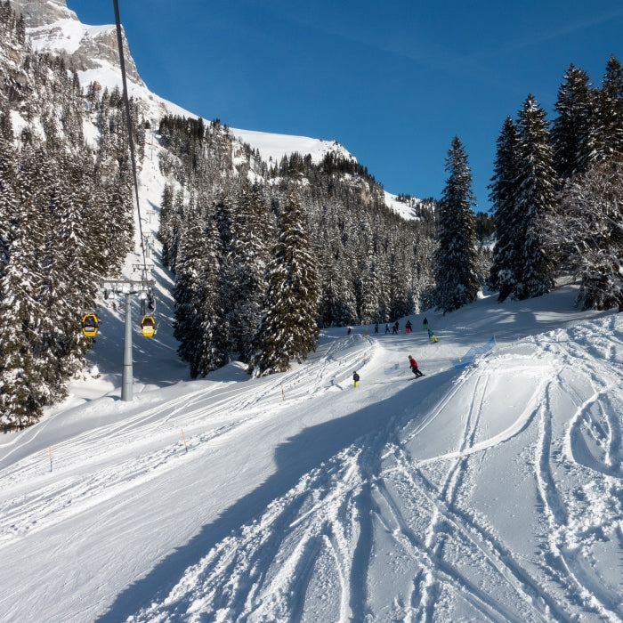 Tabara Franceza si Snowboard copii 8-17 ani in Elvetia, Braunwald 2