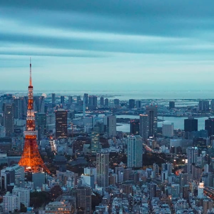 Tabara Gap Bridge, Tokyo, Japonia, pentru tineri de 17-30 ani, IVI Romania 15