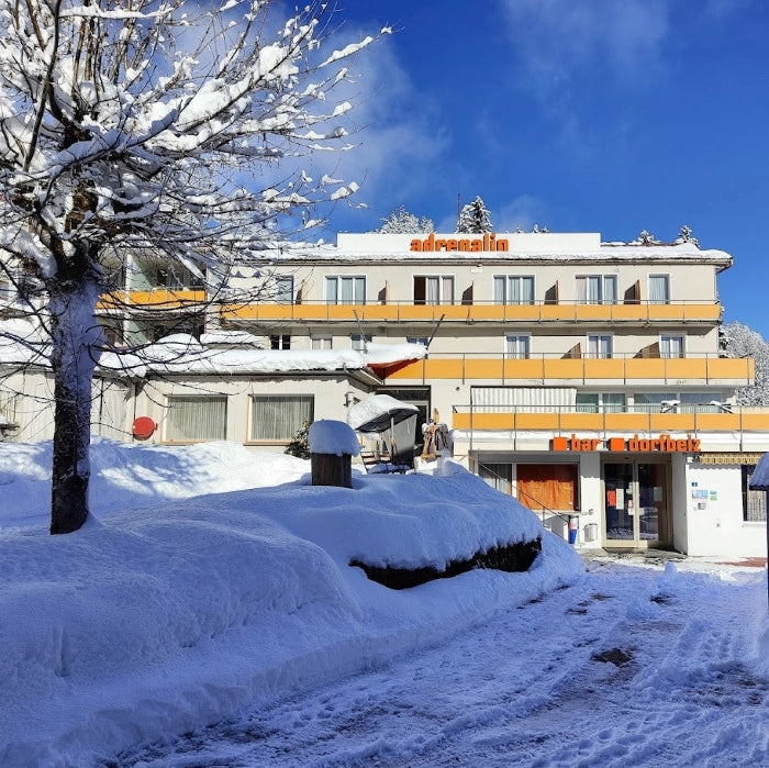 Tabara Germana si Snowboard copii 8-17 ani in Elvetia, Braunwald 18