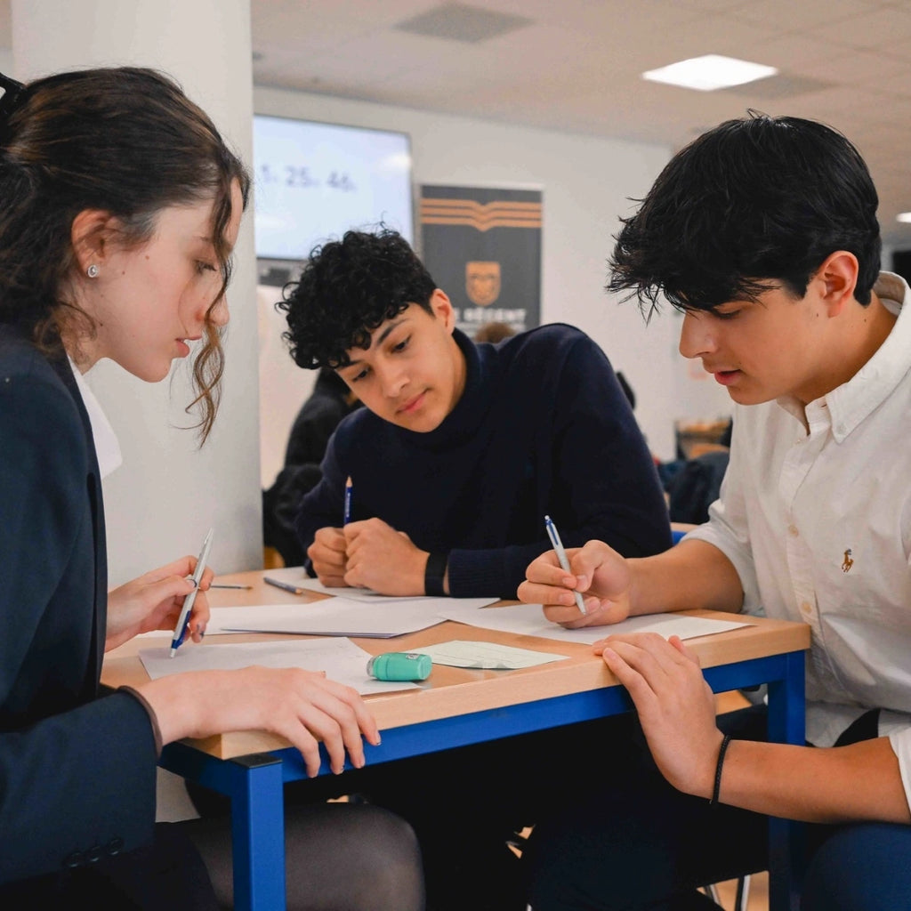 Tabara matematica IB si IGCSE 15-17 ani, Elvetia - IVI Education 2