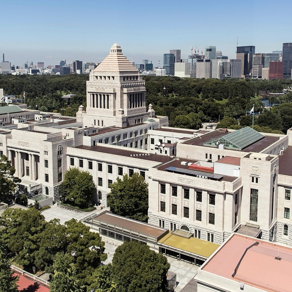 Tabara mediu 15-18 ani, Tokyo, Japonia, IVI Romania 1