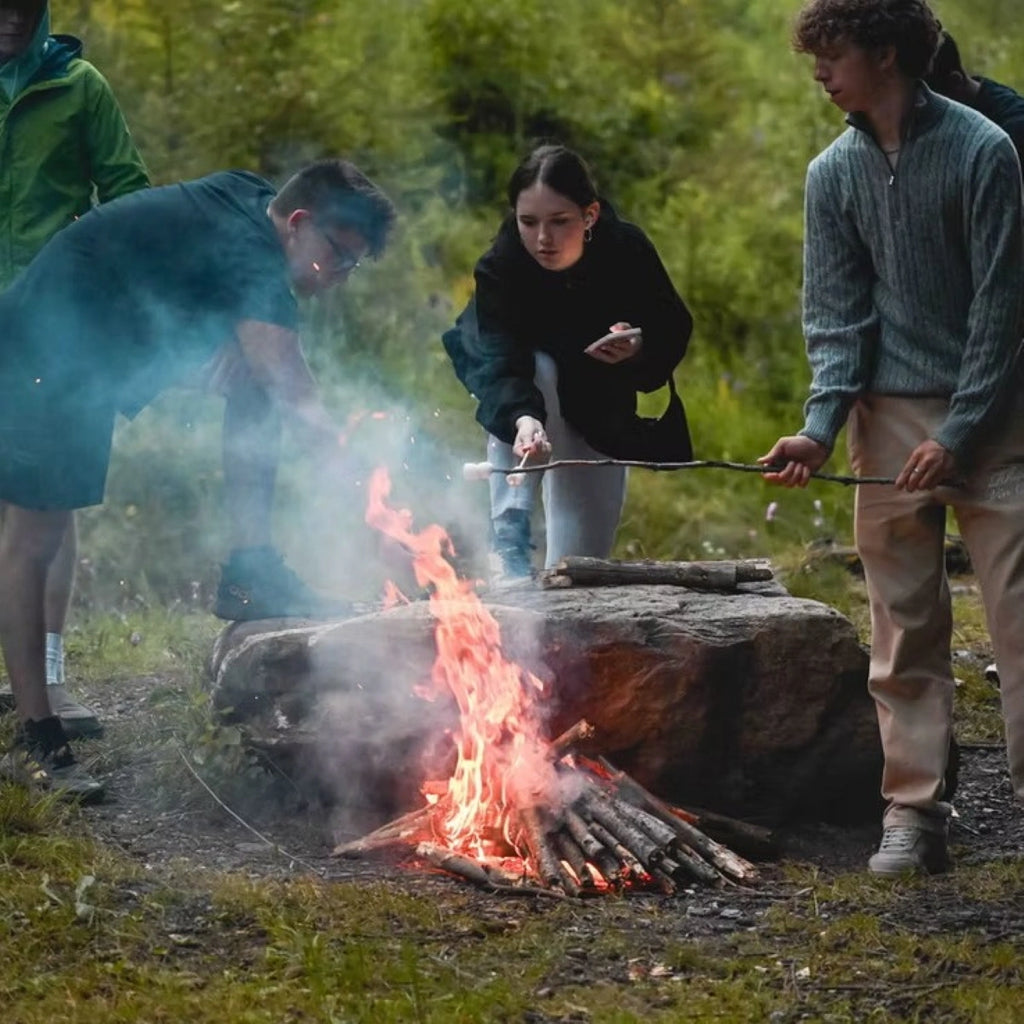 Tabara pregatire SAT 15 - 17 ani, Elvetia - IVI Education 7