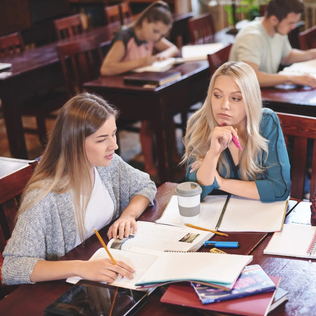 Tabara pregatire aplicatii universități Anglia, IVI Romania 8